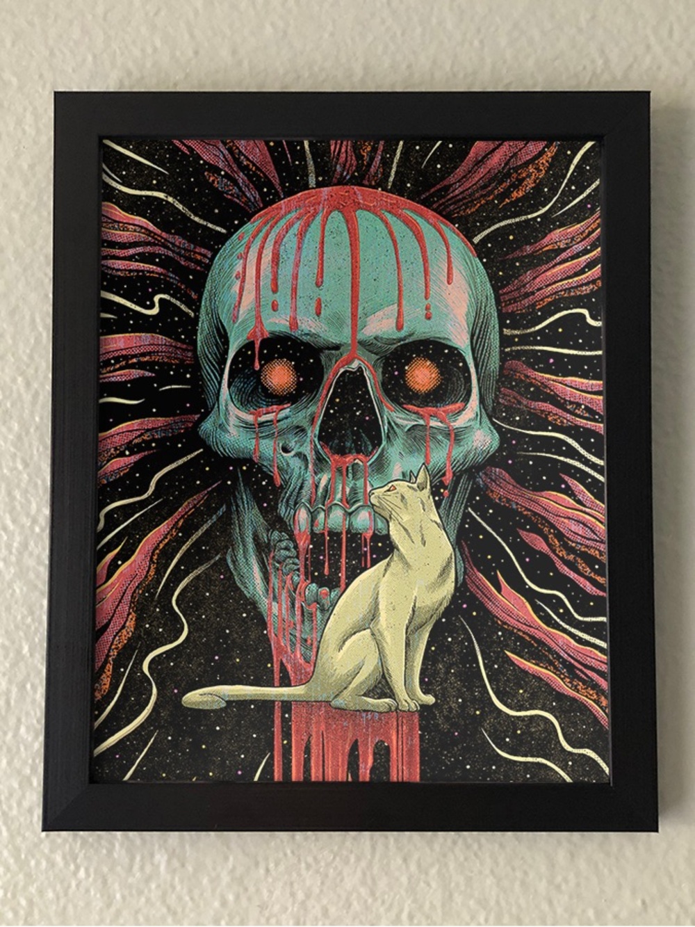 Skull and Cat Frmaed Wall Art